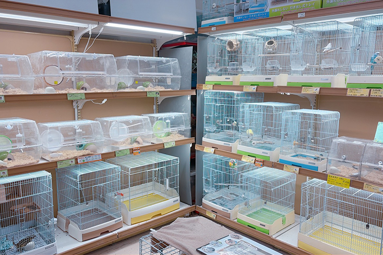 ペットアミ 新津店